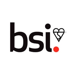BSI ISO 9001:2015 Quality Management System